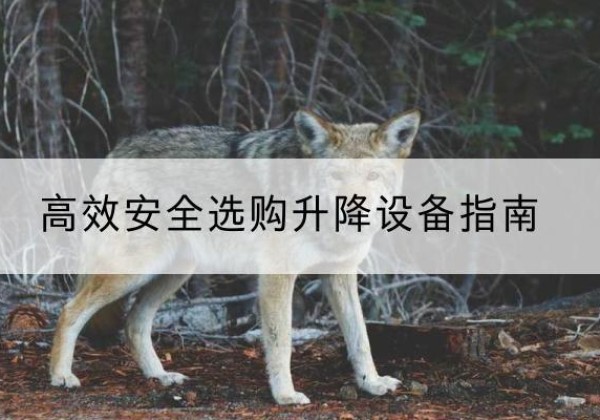 峰峰矿升降货梯厂家推荐-*安全选购升降设备指南
