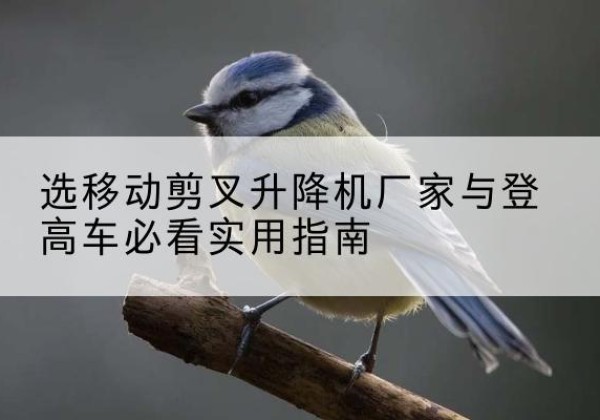 峰峰矿电动升降机厂家-选移动剪叉升降机厂家与登高车必看实用指南