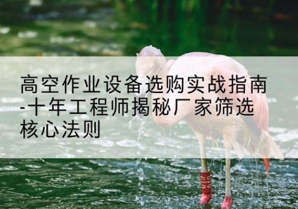 峰峰矿剪叉式升降机厂家-高空作业设备选购实战指南-十年工程师揭秘厂家筛选核心法则